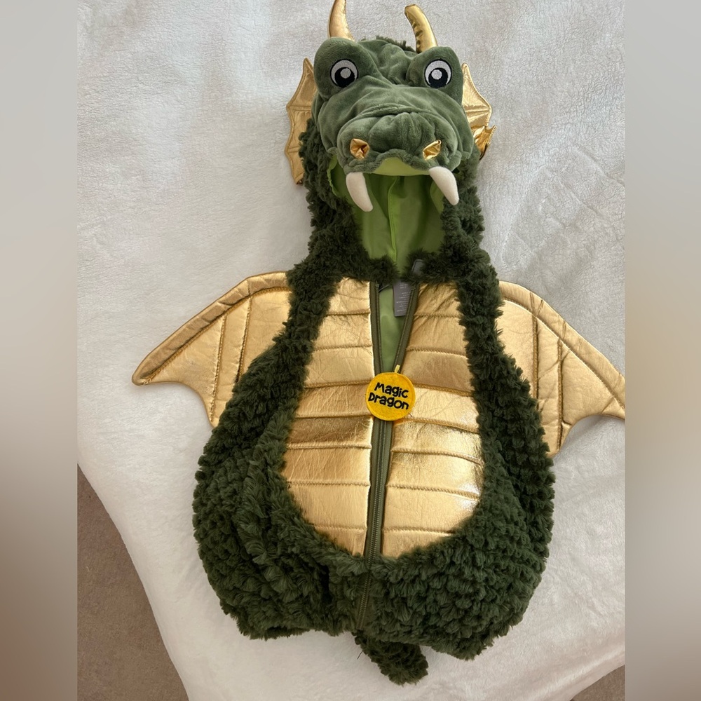 Baby dragon costume.